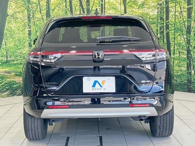 25487235_carP_l_9.jpg