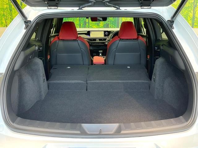 26084471_carP_l_5.jpg