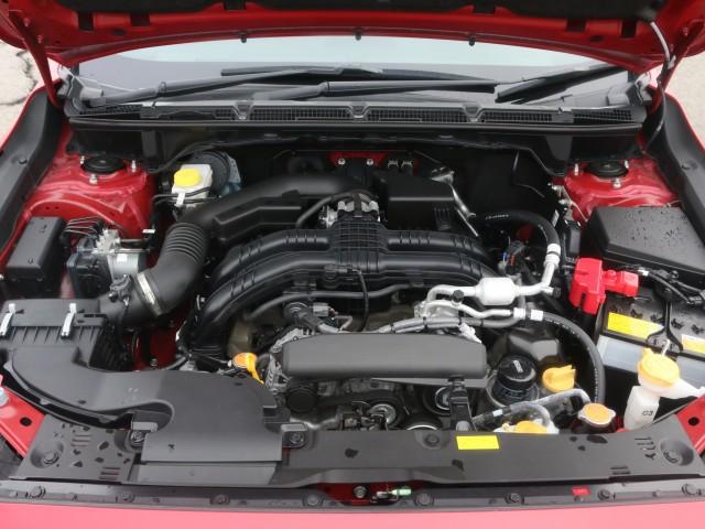 24649703_carP_l_17.jpg