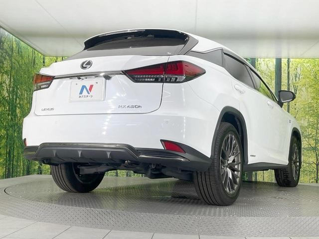 25982981_carP_l_12.jpg