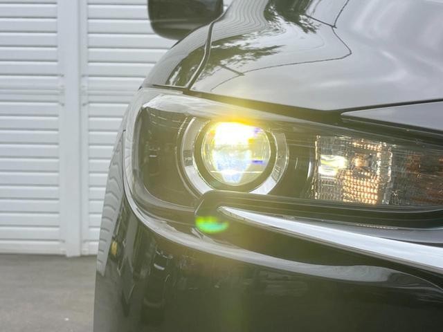 24239138_carP_l_6.jpg