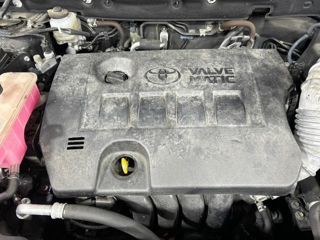 25466788_carP_l_18.jpg