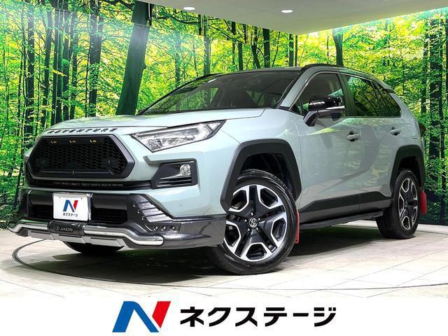 25090986_carP_l_1.jpg
