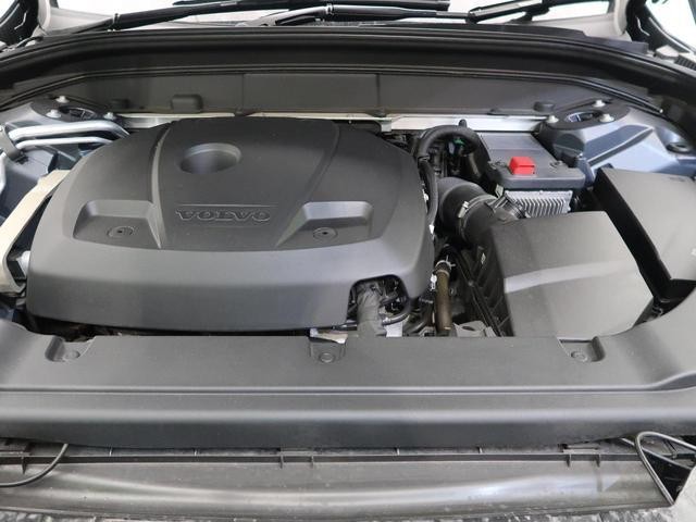 26731451_carP_l_8.jpg