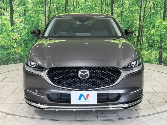 25076111_carP_l_8.jpg