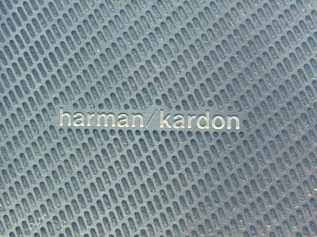 24395479_carP_l_2.jpg