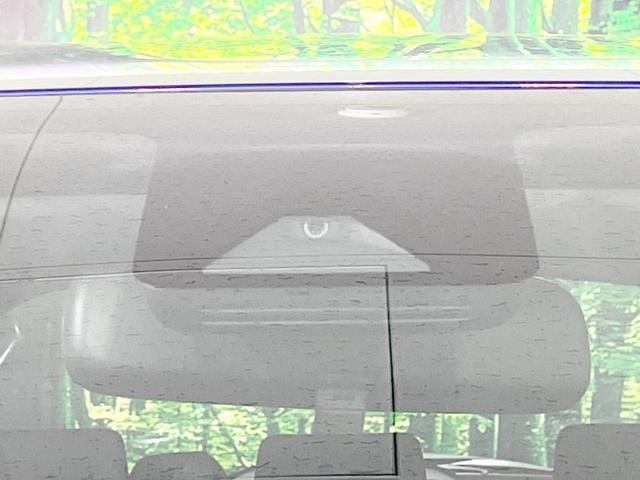 24932656_carP_l_10.jpg