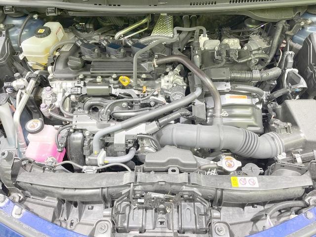 24932656_carP_l_16.jpg