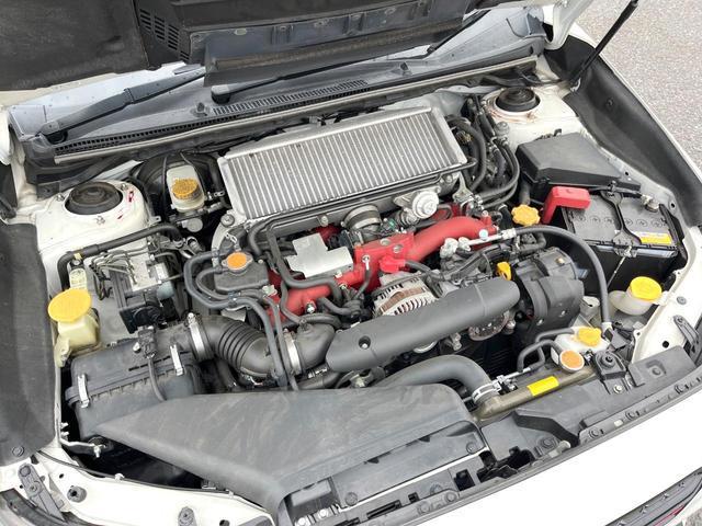 23535747_carP_l_16.jpg