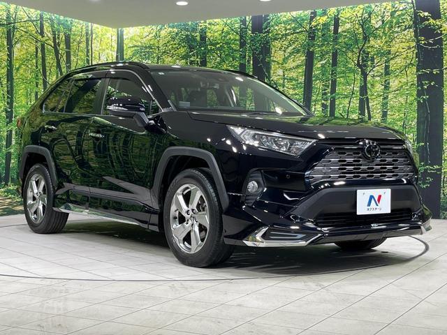 24665082_carP_l_11.jpg
