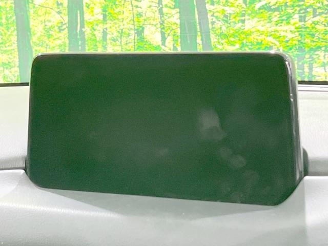 25241650_carP_l_15.jpg