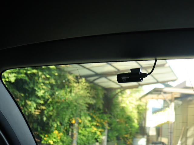 23610360_carP_l_16.jpg