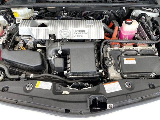 24869467_carP_l_16.jpg