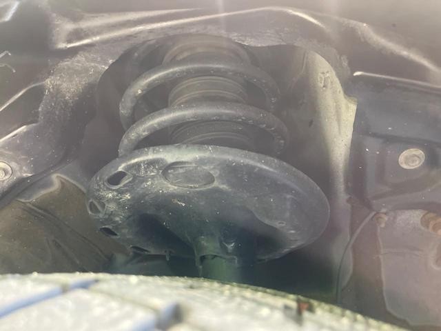 25673724_carP_l_20.jpg