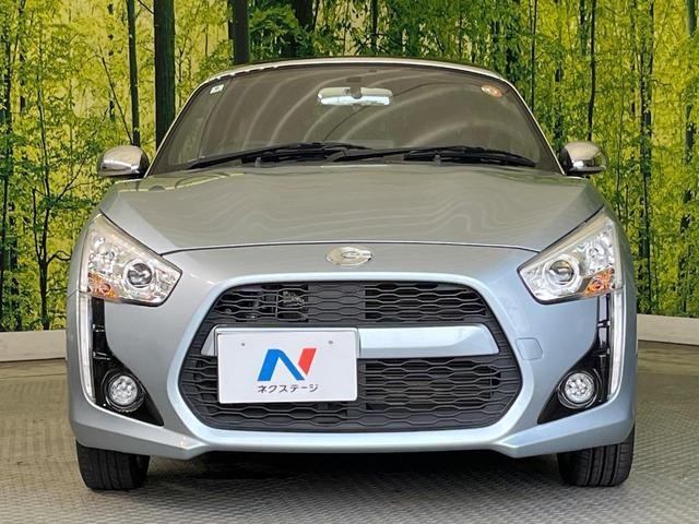 25075746_carP_l_8.jpg