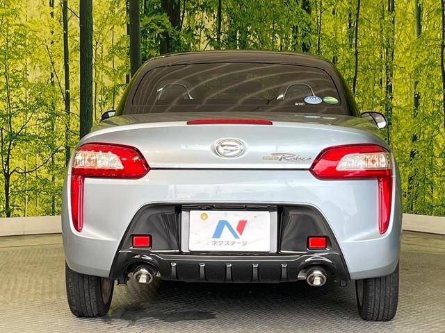 25075746_carP_l_9.jpg