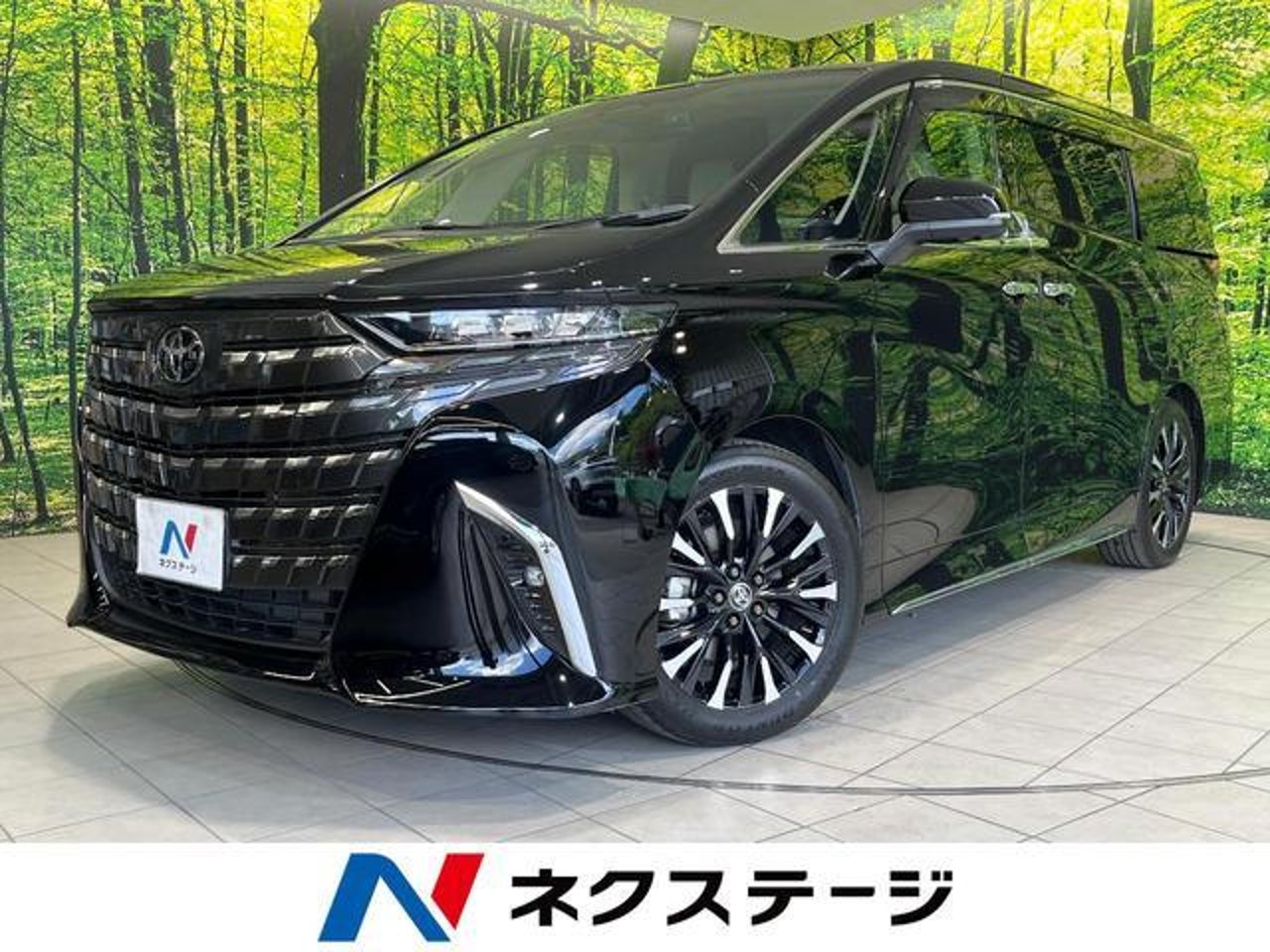 2025 Toyota Alphard, photo 1 of 1