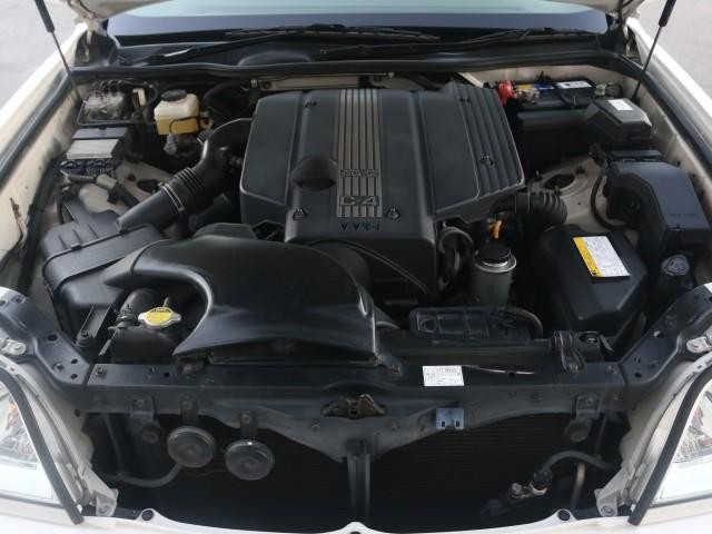 25512467_carP_l_17.jpg