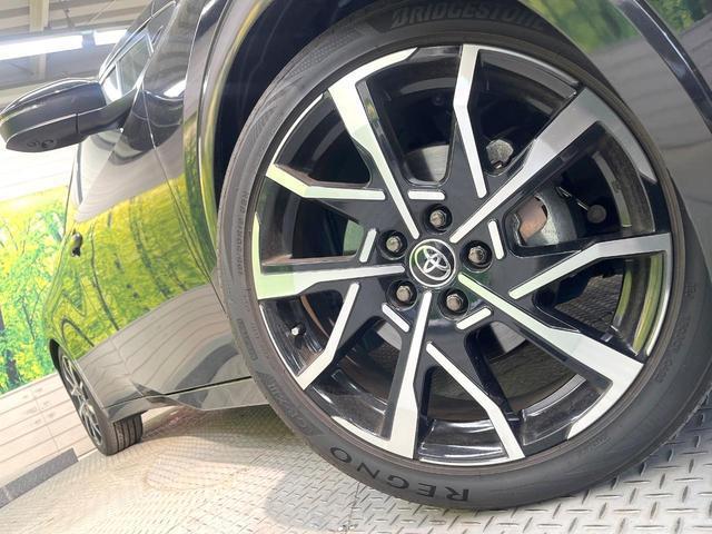 23301448_carP_l_7.jpg