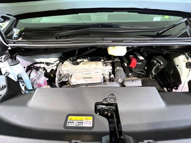 25096474_carP_l_16.jpg