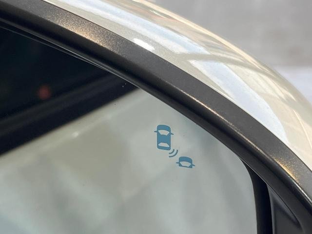 25527711_carP_l_13.jpg