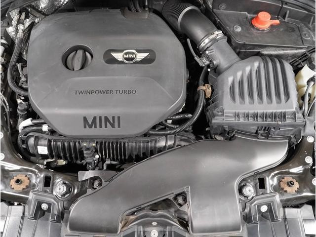 25379586_carP_l_14.jpg