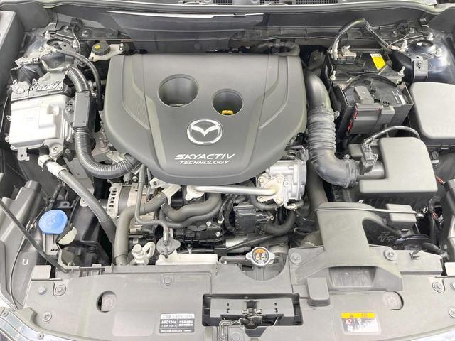 24500878_carP_l_16.jpg