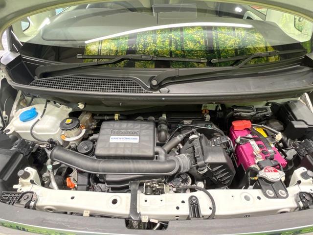 23168562_carP_l_16.jpg