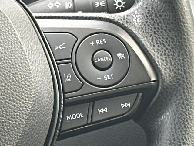23821586_carP_l_18.jpg