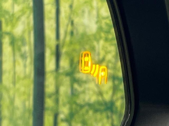 25527311_carP_l_17.jpg