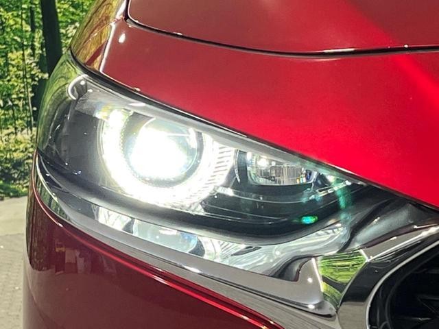 26688694_carP_l_7.jpg