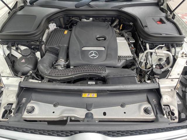 24421378_carP_l_16.jpg