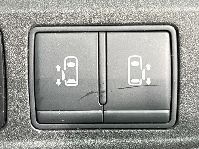 24461361_carP_l_14.jpg