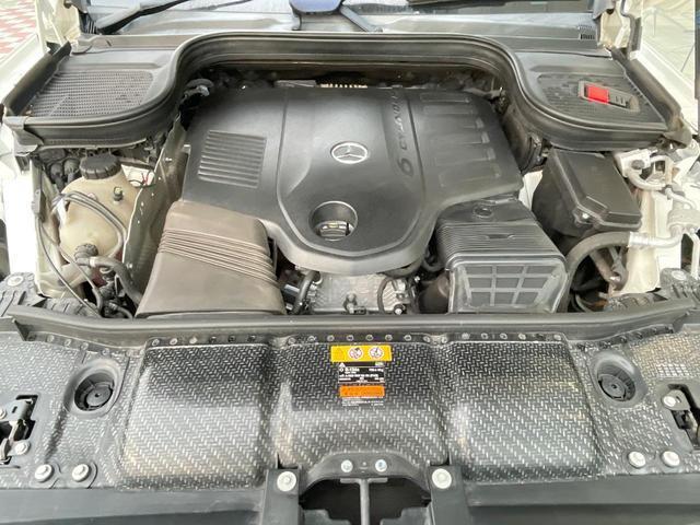24421380_carP_l_18.jpg