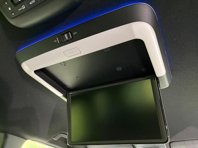 25486868_carP_l_10.jpg