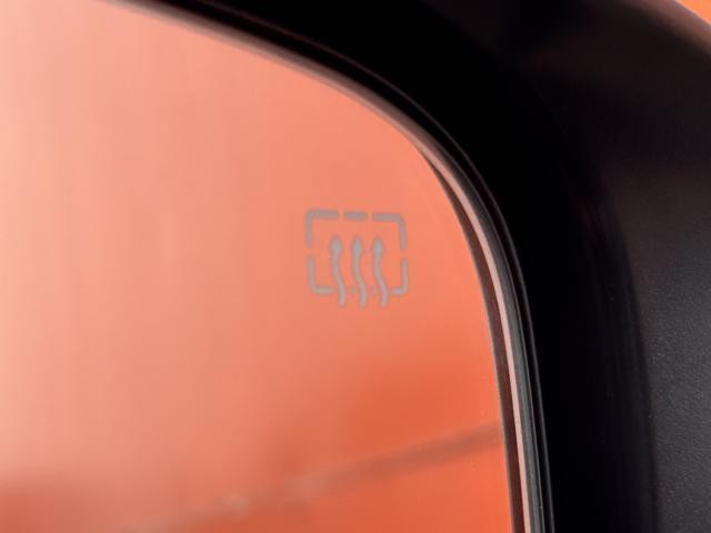 25153490_carP_l_9.jpg