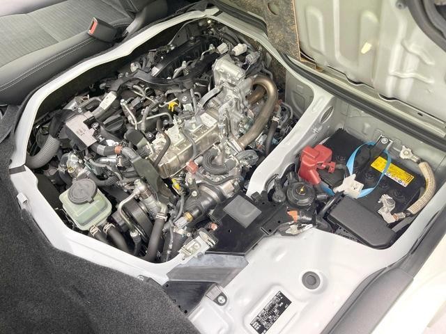 26335079_carP_l_16.jpg