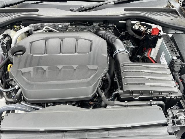 24886668_carP_l_12.jpg