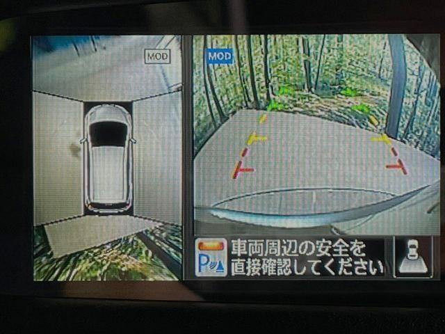 24602973_carP_l_4.jpg