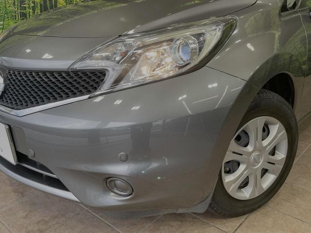 24602973_carP_l_6.jpg