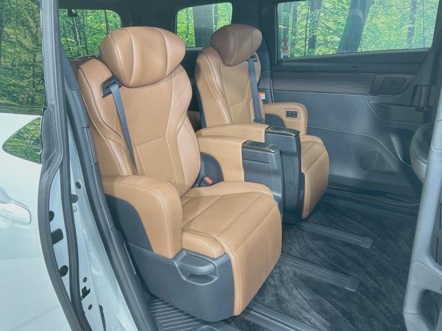 25633087_carP_l_19.jpg