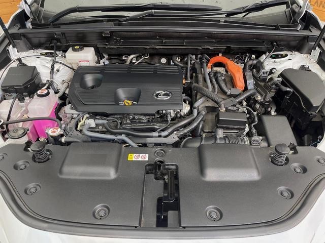26335127_carP_l_18.jpg