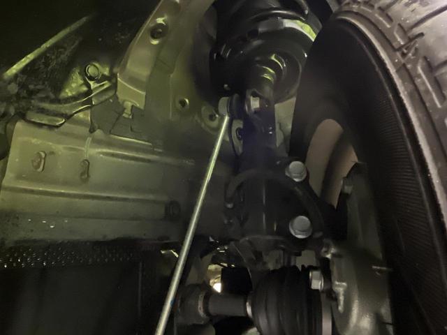 24685889_carP_l_20.jpg