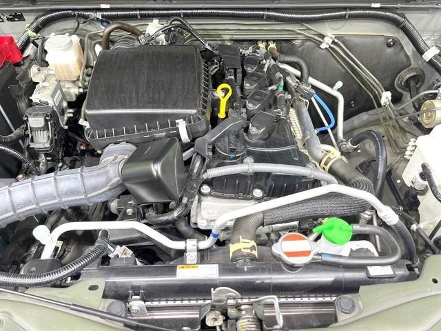 25283993_carP_l_16.jpg