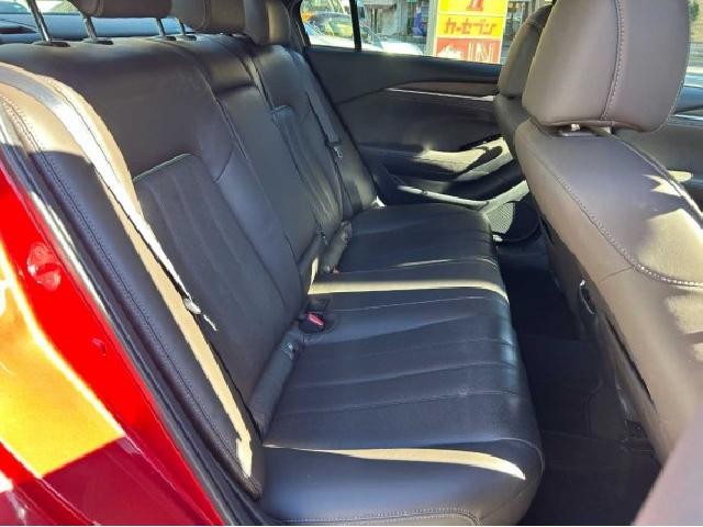 26826764_carP_l_18.jpg