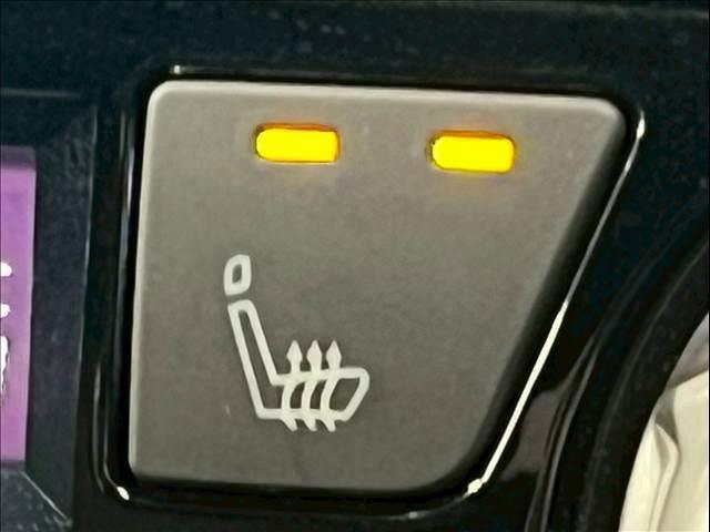 23708870_carP_l_6.jpg