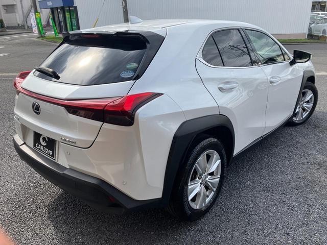 27161905_carP_l_3.jpg