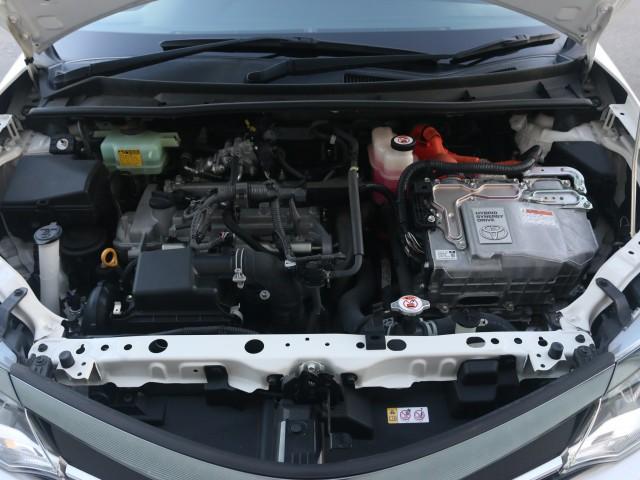24406911_carP_l_17.jpg