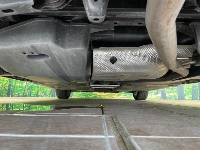 24726582_carP_l_18.jpg