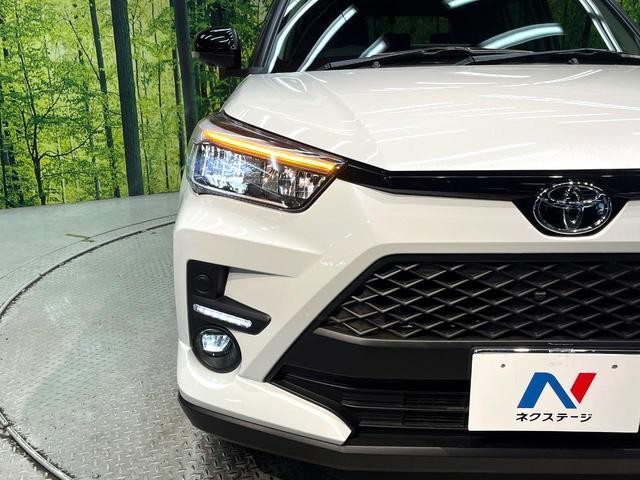 26168253_carP_l_6.jpg